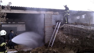 Požar u pojati kod Jovića Požar u pojati kod Jovića