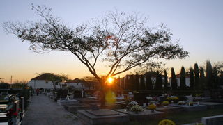 Gradsko groblje u Zadru u susret blagdanu Svih svetih