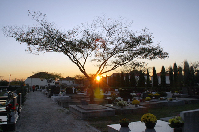 Gradsko groblje u Zadru u susret blagdanu Svih svetih