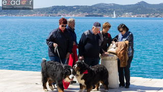 Đir po gradu 29. travnja 2017.
