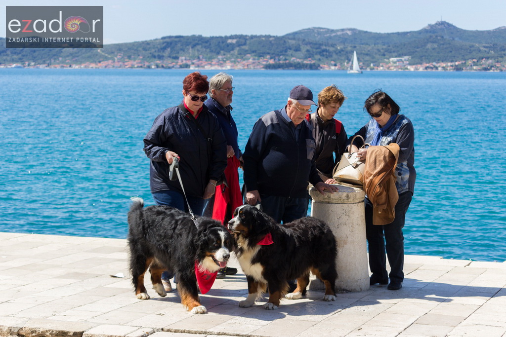 Đir po gradu 29. travnja 2017.