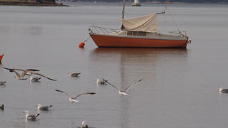 Image 848703 (auto)