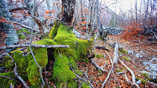 Uspon na Bojin Kuk i pogled na Italiju, Foto: Leo Banić Uspon na Bojin Kuk i pogled na Italiju, Foto: Leo Banić