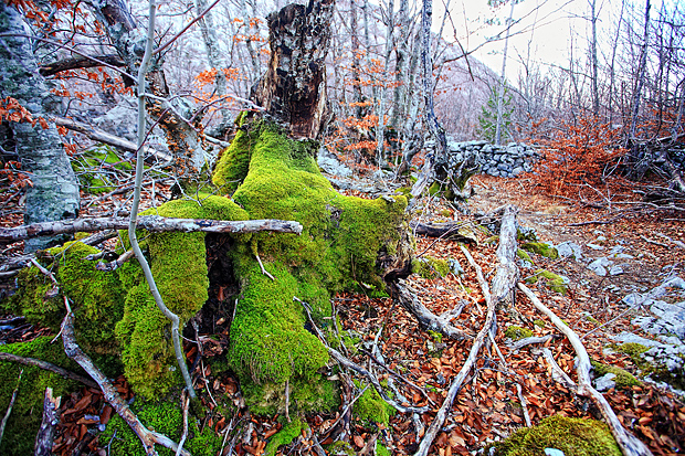 Uspon na Bojin Kuk i pogled na Italiju, Foto: Leo Banić Uspon na Bojin Kuk i pogled na Italiju, Foto: Leo Banić