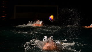 VAK”AN”ZA 31%, finale: Reptili – Nesvrstani 2-4 VAK”AN”ZA 31%, finale: Reptili – Nesvrstani 2-4