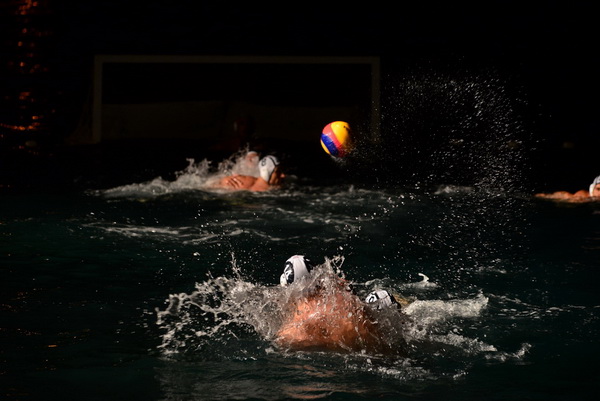 VAK”AN”ZA 31%, finale: Reptili – Nesvrstani 2-4 VAK”AN”ZA 31%, finale: Reptili – Nesvrstani 2-4