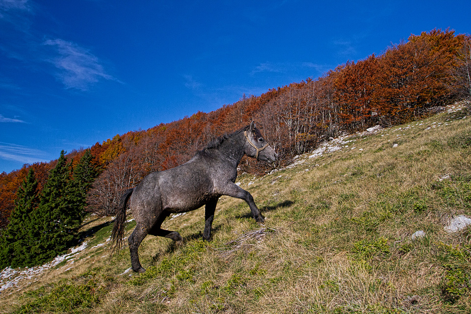 Đir do Zavižana, sjeverni Velebit, foto: Leo Banić