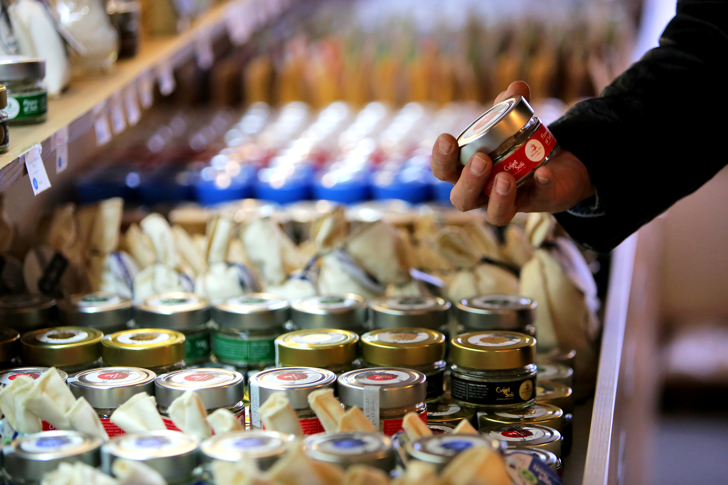 Posjet Solani Nin i Kraljevskim vinogradima u Petrčanima