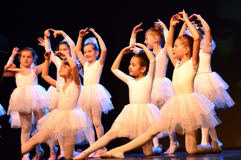 U Kazališno-koncertnoj dvorani Ivana Brlić Mažuranić započeli su Dani plesa posvećeni slavnoj hrvatskoj balerini, Brođanki, Miji Čorak Slavenskoj