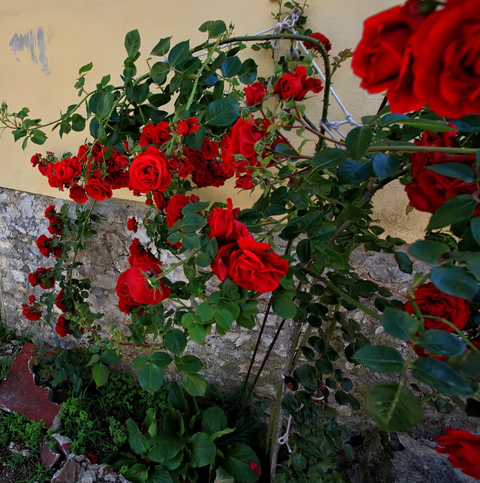 Skitnja gradom 9. svibnja 2013. Foto: Roberto Lerga Skitnja gradom 9. svibnja 2013. Foto: Roberto Lerga