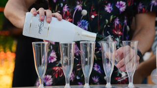 ELFS Cruise collection 2022