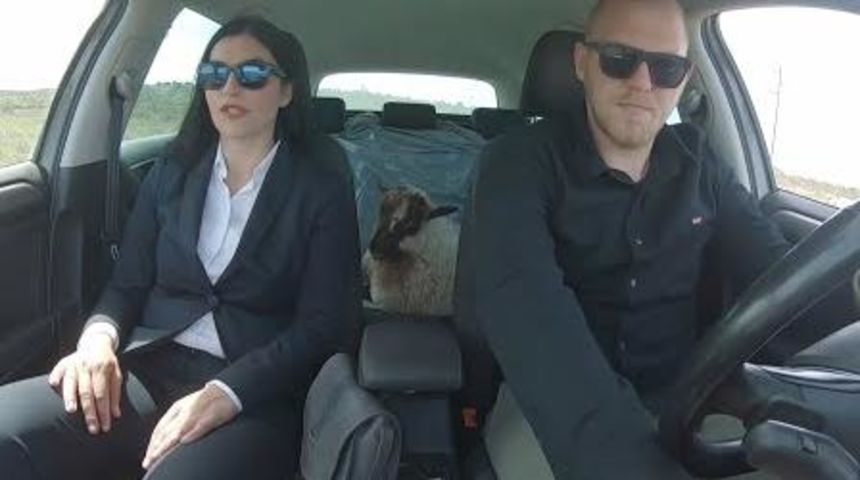 Nikolina radic ancic