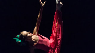 Božićna čestitka plesnog odjela Glazbene škole Blagoje Bersa