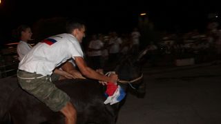 10. međunarodna trka tovarov Tisno 2015