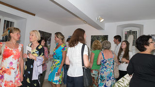 Biograd na moru: Otvorena izložba fotografija “Lunjske masline” Biograd na moru: Otvorena izložba fotografija “Lunjske masline”