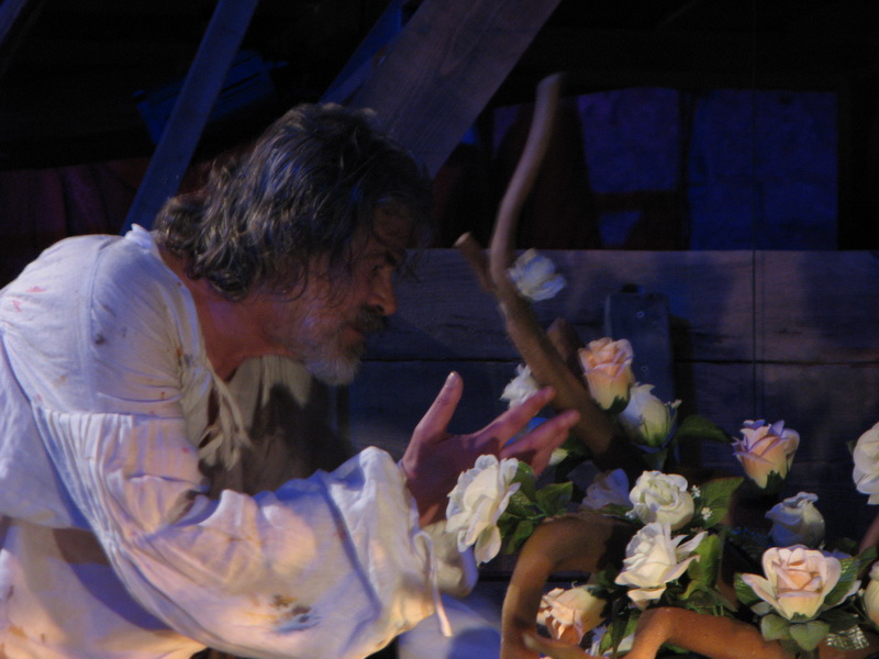 Predstava Michelangelo Buonarotti [Ivan Deković]