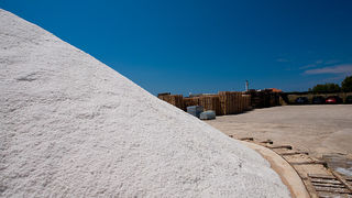 Solana Nin, berba soli, foto: Leo Banić