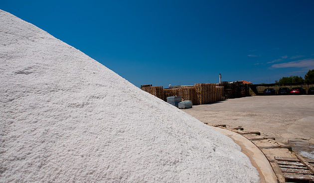 Solana Nin, berba soli, foto: Leo Banić