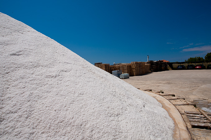 Solana Nin, berba soli, foto: Leo Banić