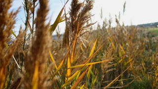 Đir uz Vransko jezero, Foto: Iva Perinić Đir uz Vransko jezero, Foto: Iva Perinić