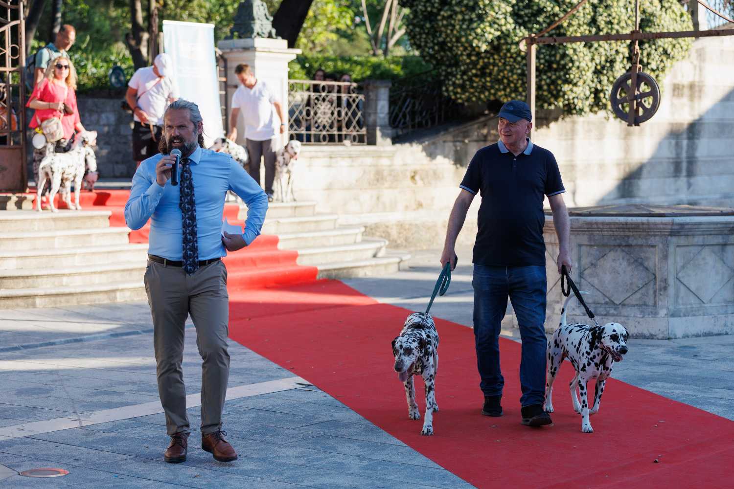 Red Carpet Dalmatian Walk @Trg pet bunara Red Carpet Dalmatian Walk @Trg pet bunara