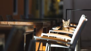 Zatvorene butige i poluprazan zadarski Poluotok Zatvorene butige i poluprazan zadarski Poluotok