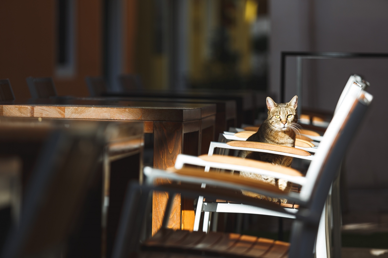 Zatvorene butige i poluprazan zadarski Poluotok Zatvorene butige i poluprazan zadarski Poluotok