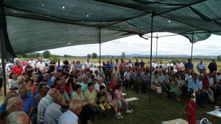 Proslavljen blagdan sv. Petra u Morpolači