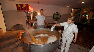 Ljetni karneval 2011. u Biogradu na Moru, Foto. Franjo Jurić