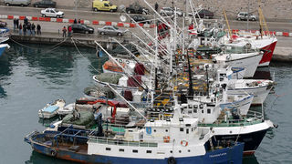 Potpora zadarskih ribara hrvatskoj Vladi za proglasenje ZERP-a