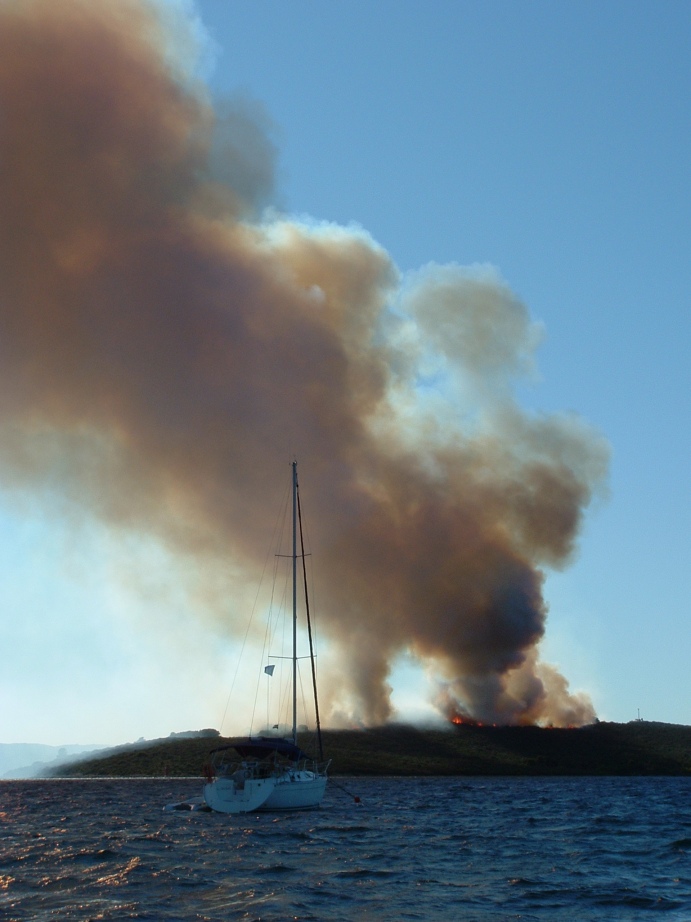 Image 1177181 (auto)