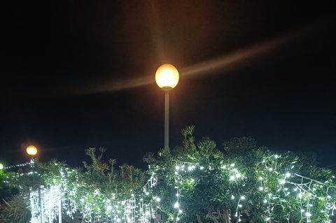 605446455_1271128665042603_7520778452515698308_n