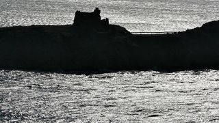 Image 1177845 (auto)