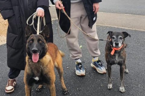 608856389_898874452669984_6317447000179958586_n