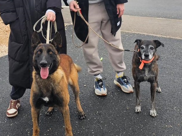 608856389_898874452669984_6317447000179958586_n 608856389_898874452669984_6317447000179958586_n