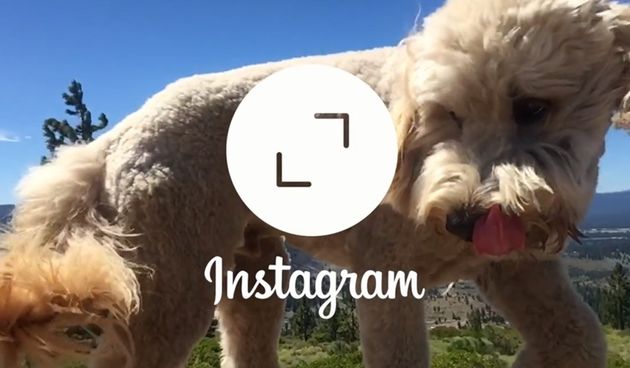 Fotografije na Instagramu više ne moraju biti u obliku kvadrata, foto: Zimo