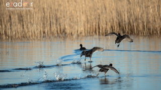 Nedjeljno svitanje na Vranskom jezeru Nedjeljno svitanje na Vranskom jezeru