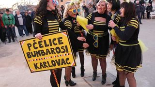 2. Međunarodna karnevalska povorka Virskih maškara