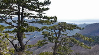 Veliko Rujno – Buljma – Struge