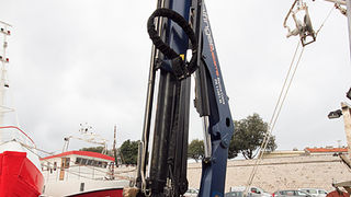 Ribarice u zadarskoj luci, Foto: Leo Banić