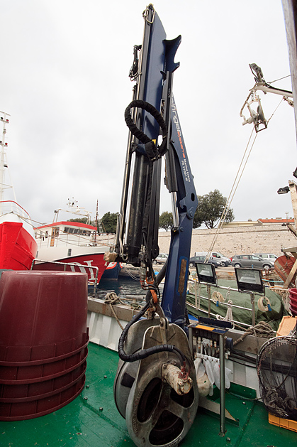 Ribarice u zadarskoj luci, Foto: Leo Banić