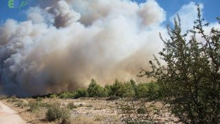 Zemaljske i zračne vatrogasne snage gase veliki šumski požar kod Crvene luke. Foto: Franjo Jurić/eBiograd Zemaljske i zračne vatrogasne snage gase veliki šumski požar kod Crvene luke. Foto: Franjo Jurić/eBiograd