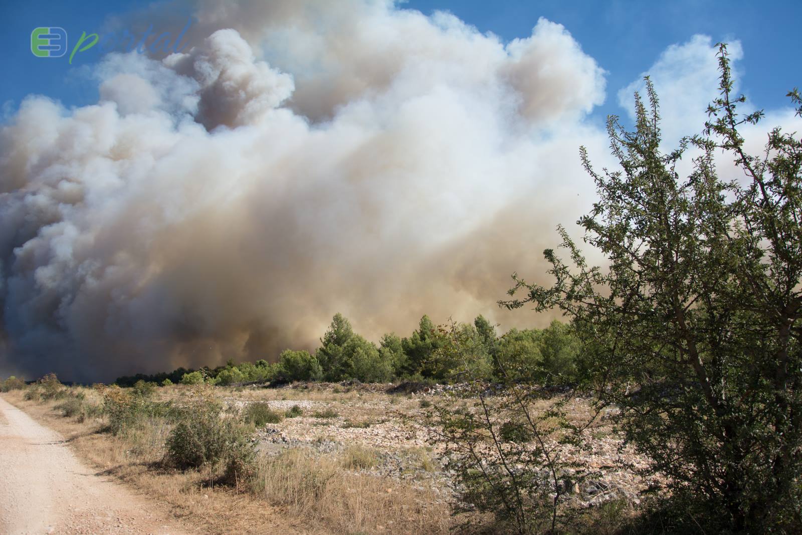 Zemaljske i zračne vatrogasne snage gase veliki šumski požar kod Crvene luke. Foto: Franjo Jurić/eBiograd Zemaljske i zračne vatrogasne snage gase veliki šumski požar kod Crvene luke. Foto: Franjo Jurić/eBiograd