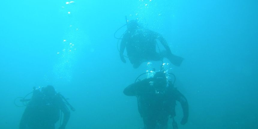 Ronioci (Foto: Đani Iglić) Ronioci (Foto: Đani Iglić)