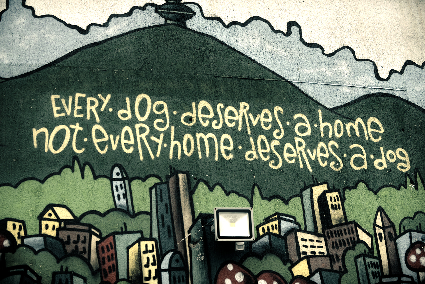 DasPas i street art umjetnici pomažu Azil Dumovec(psić,dogs) DasPas i street art umjetnici pomažu Azil Dumovec(psić,dogs)