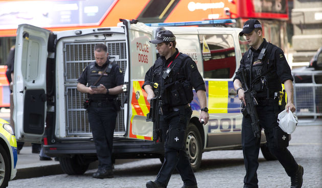 Britanska policija