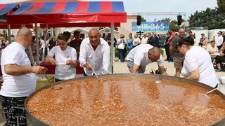 Velika prvosvibanjska fešta na Viru Velika prvosvibanjska fešta na Viru