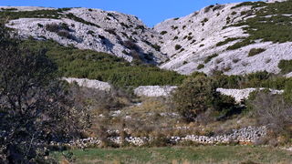 Đir po otoku Pagu – Šimuni, Foto: Leonard Kvarantan