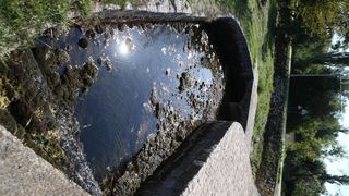 Nakon potresa presušio izvor Vrljike u Proložcu Nakon potresa presušio izvor Vrljike u Proložcu