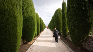 Gradsko groblje uoči blagdana Svih svetih (foto:Saša Čuka) Gradsko groblje uoči blagdana Svih svetih (foto:Saša Čuka)